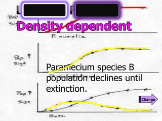 Paramecium species B
population declines until
extinction.
 