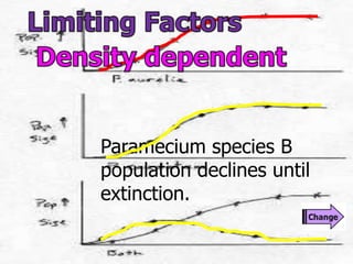 Paramecium species B
population declines until
extinction.
 