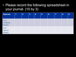 • Please record the following spreadsheet in
your journal. (10 by 3)
Species 1 2 3 4 5 6 7 8 9
# of
Grabber
Beaks
# of
Spoon
Beaks
 