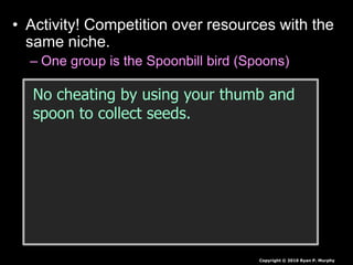 • Activity! Competition over resources with the
same niche.
– One group is the Spoonbill bird (Spoons)
Copyright © 2010 Ryan P. Murphy
No cheating by using your thumb and
spoon to collect seeds.
 