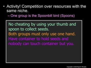• Activity! Competition over resources with the
same niche.
– One group is the Spoonbill bird (Spoons)
Copyright © 2010 Ryan P. Murphy
No cheating by using your thumb and
spoon to collect seeds.
Both groups must only use one hand.
Have container to hold seeds and
nobody can touch container but you.
 