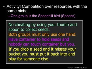 • Activity! Competition over resources with the
same niche.
– One group is the Spoonbill bird (Spoons)
Copyright © 2010 Ryan P. Murphy
No cheating by using your thumb and
spoon to collect seeds.
Both groups must only use one hand.
Have container to hold seeds and
nobody can touch container but you.
If you drop a seed and it misses your
bucket you must put it back into and
play for someone else.
 