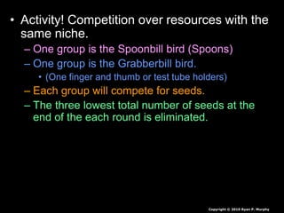 • Activity! Competition over resources with the
same niche.
– One group is the Spoonbill bird (Spoons)
– One group is the Grabberbill bird.
• (One finger and thumb or test tube holders)
– Each group will compete for seeds.
– The three lowest total number of seeds at the
end of the each round is eliminated.
Copyright © 2010 Ryan P. Murphy
 