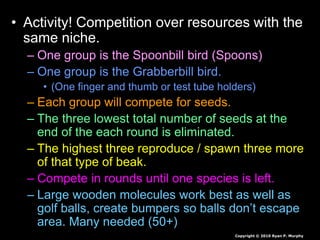• Activity! Competition over resources with the
same niche.
– One group is the Spoonbill bird (Spoons)
– One group is the Grabberbill bird.
• (One finger and thumb or test tube holders)
– Each group will compete for seeds.
– The three lowest total number of seeds at the
end of the each round is eliminated.
– The highest three reproduce / spawn three more
of that type of beak.
– Compete in rounds until one species is left.
– Large wooden molecules work best as well as
golf balls, create bumpers so balls don’t escape
area. Many needed (50+)
Copyright © 2010 Ryan P. Murphy
 