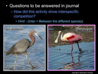• Questions to be answered in journal
– How did this activity show interspecific
competition?
• Hint! - (Inter = Between the different species)
Copyright © 2010 Ryan P. Murphy
 