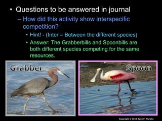 • Questions to be answered in journal
– How did this activity show interspecific
competition?
• Hint! - (Inter = Between the different species)
• Answer: The Grabberbills and Spoonbills are
both different species competing for the same
resources.
Copyright © 2010 Ryan P. Murphy
 