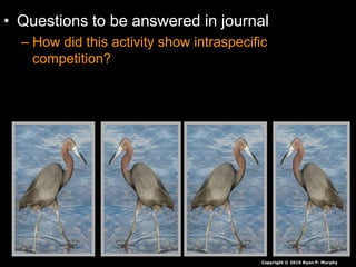 • Questions to be answered in journal
– How did this activity show intraspecific
competition?
Copyright © 2010 Ryan P. Murphy
 