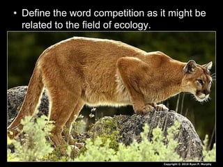 • Define the word competition as it might be
related to the field of ecology.
Copyright © 2010 Ryan P. Murphy
 