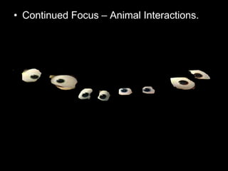 • Continued Focus – Animal Interactions.
Copyright © 2010 Ryan P. Murphy
 