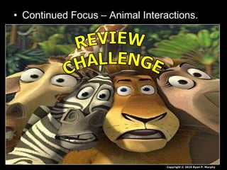 • Continued Focus – Animal Interactions.
Copyright © 2010 Ryan P. Murphy
 