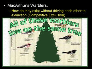 • MacArthur’s Warblers.
– How do they exist without driving each other to
extinction (Competitive Exclusion)
– Each species of warbler occupied a distinct part
of the tree and partitioned the resources.
 