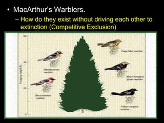 • MacArthur’s Warblers.
– How do they exist without driving each other to
extinction (Competitive Exclusion)
– Each species of warbler occupied a distinct part
of the tree and partitioned the resources.
 
