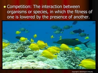  Competition: The interaction between
organisms or species, in which the fitness of
one is lowered by the presence of another.
Copyright © 2010 Ryan P. Murphy
 