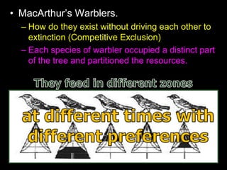 • MacArthur’s Warblers.
– How do they exist without driving each other to
extinction (Competitive Exclusion)
– Each species of warbler occupied a distinct part
of the tree and partitioned the resources.
 