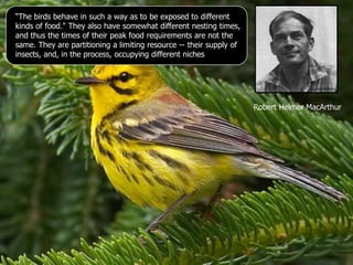 “The birds behave in such a way as to be exposed to different
kinds of food." They also have somewhat different nesting times,
and thus the times of their peak food requirements are not the
same. They are partitioning a limiting resource -- their supply of
insects, and, in the process, occupying different niches
Robert Helmer MacArthur
 