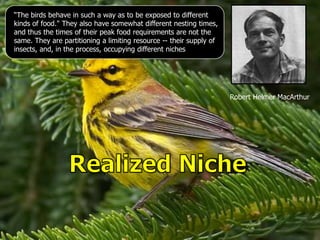 “The birds behave in such a way as to be exposed to different
kinds of food." They also have somewhat different nesting times,
and thus the times of their peak food requirements are not the
same. They are partitioning a limiting resource -- their supply of
insects, and, in the process, occupying different niches
Robert Helmer MacArthur
 