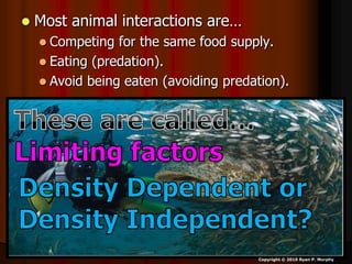  Most animal interactions are…
 Competing for the same food supply.
 Eating (predation).
 Avoid being eaten (avoiding predation).
Copyright © 2010 Ryan P. Murphy
 