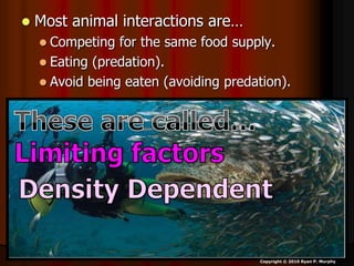  Most animal interactions are…
 Competing for the same food supply.
 Eating (predation).
 Avoid being eaten (avoiding predation).
Copyright © 2010 Ryan P. Murphy
 