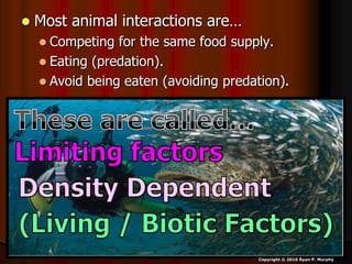  Most animal interactions are…
 Competing for the same food supply.
 Eating (predation).
 Avoid being eaten (avoiding predation).
Copyright © 2010 Ryan P. Murphy
 