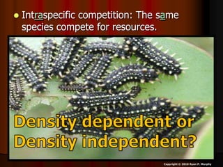  Intraspecific competition: The same
species compete for resources.
Copyright © 2010 Ryan P. Murphy
 