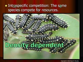  Intraspecific competition: The same
species compete for resources.
Copyright © 2010 Ryan P. Murphy
 