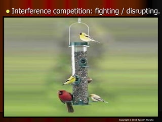  Interference competition: fighting / disrupting.
Copyright © 2010 Ryan P. Murphy
 