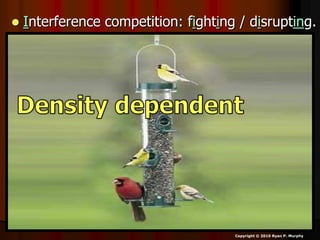  Interference competition: fighting / disrupting.
Copyright © 2010 Ryan P. Murphy
 