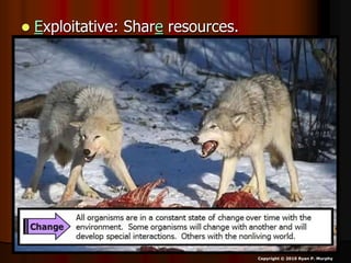  Exploitative: Share resources.
Copyright © 2010 Ryan P. Murphy
 