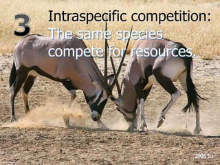 Intraspecific competition:
The same species
compete for resources.
 
