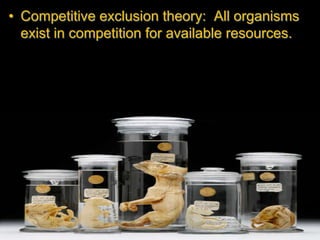 • Competitive exclusion theory: All organisms
exist in competition for available resources.
 