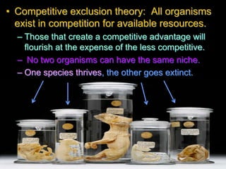 • Competitive exclusion theory: All organisms
exist in competition for available resources.
– Those that create a competitive advantage will
flourish at the expense of the less competitive.
– No two organisms can have the same niche.
– One species thrives, the other goes extinct.
 