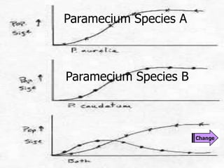 Paramecium Species A
Paramecium Species B
 