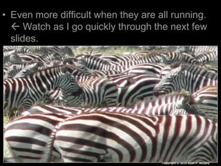 • Even more difficult when they are all running.
 Watch as I go quickly through the next few
slides.
Copyright © 2010 Ryan P. Murphy
 