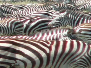 Copyright © 2010 Ryan P. Murphy
 