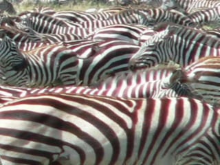 Copyright © 2010 Ryan P. Murphy
 