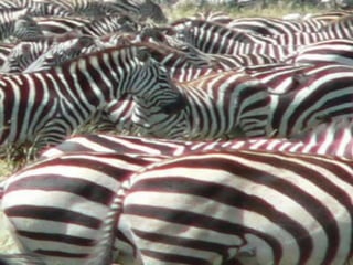 Copyright © 2010 Ryan P. Murphy
 