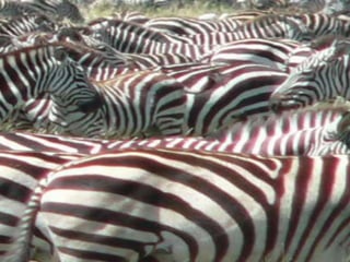 Copyright © 2010 Ryan P. Murphy
 