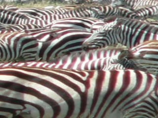 Copyright © 2010 Ryan P. Murphy
 