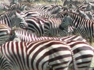 Copyright © 2010 Ryan P. Murphy
 