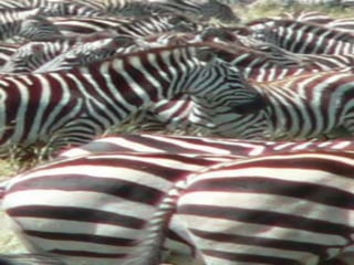 Copyright © 2010 Ryan P. Murphy
 