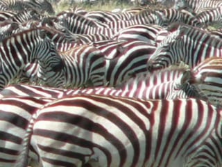 Copyright © 2010 Ryan P. Murphy
 