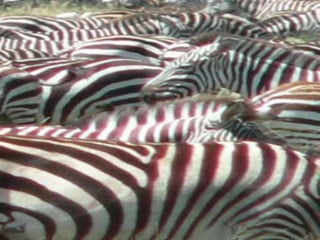 Copyright © 2010 Ryan P. Murphy
 