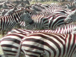 Copyright © 2010 Ryan P. Murphy
 