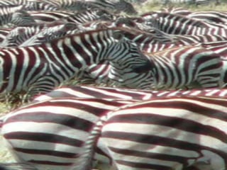 Copyright © 2010 Ryan P. Murphy
 