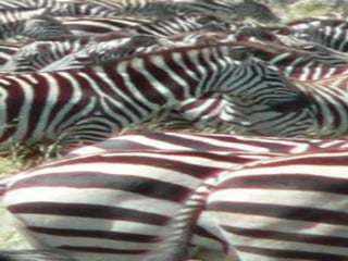 Copyright © 2010 Ryan P. Murphy
 