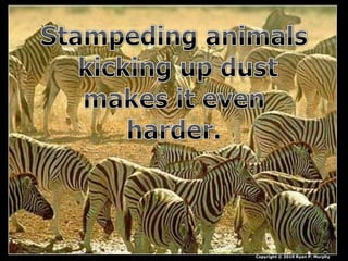 Copyright © 2010 Ryan P. Murphy
 