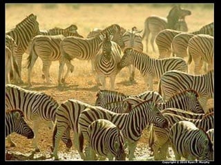 Copyright © 2010 Ryan P. Murphy
 