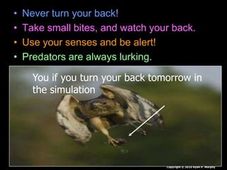 • Never turn your back!
• Take small bites, and watch your back.
• Use your senses and be alert!
• Predators are always lurking.
Copyright © 2010 Ryan P. Murphy
You if you turn your back tomorrow in
the simulation
 