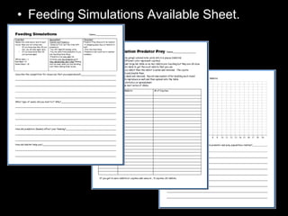 • Feeding Simulations Available Sheet.
 