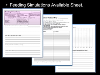 • Feeding Simulations Available Sheet.
 